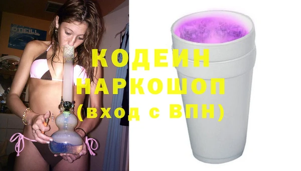 винт Пересвет