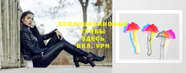 ПСИЛОЦИБИНОВЫЕ ГРИБЫ Болхов