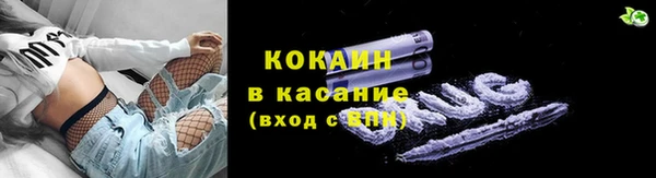 винт Пересвет
