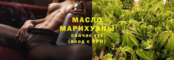 винт Пересвет