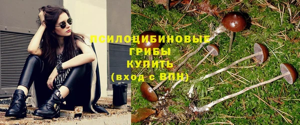 дурь Пестово