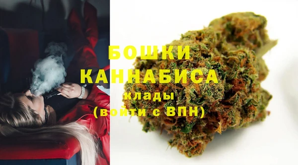 PSILOCYBIN Тутаев