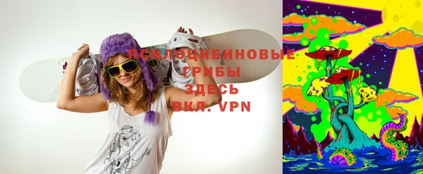 дурь Пестово